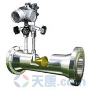 28圈V锥流量计