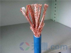 28圈本安防爆计算机电缆