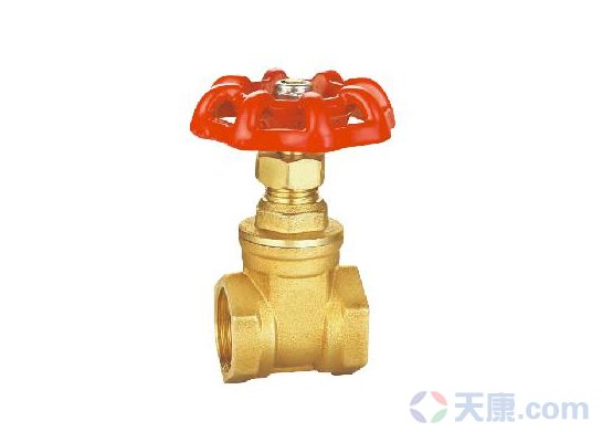 28圈普通阀门
